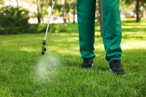 Best Local Pest Control Services  in Elkhart, IN